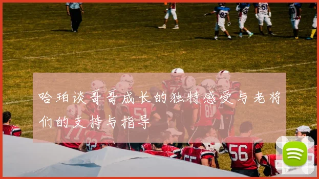 哈珀谈哥哥成长的独特感受与老将们的支持与指导